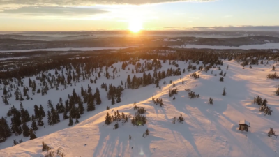 Sunset over a snowy forest landscape with scattered trees.